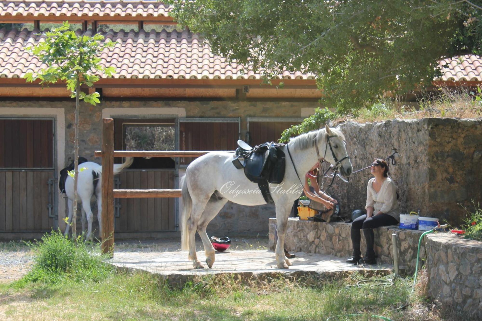 Country Hotel Velani Avdou Exterior photo